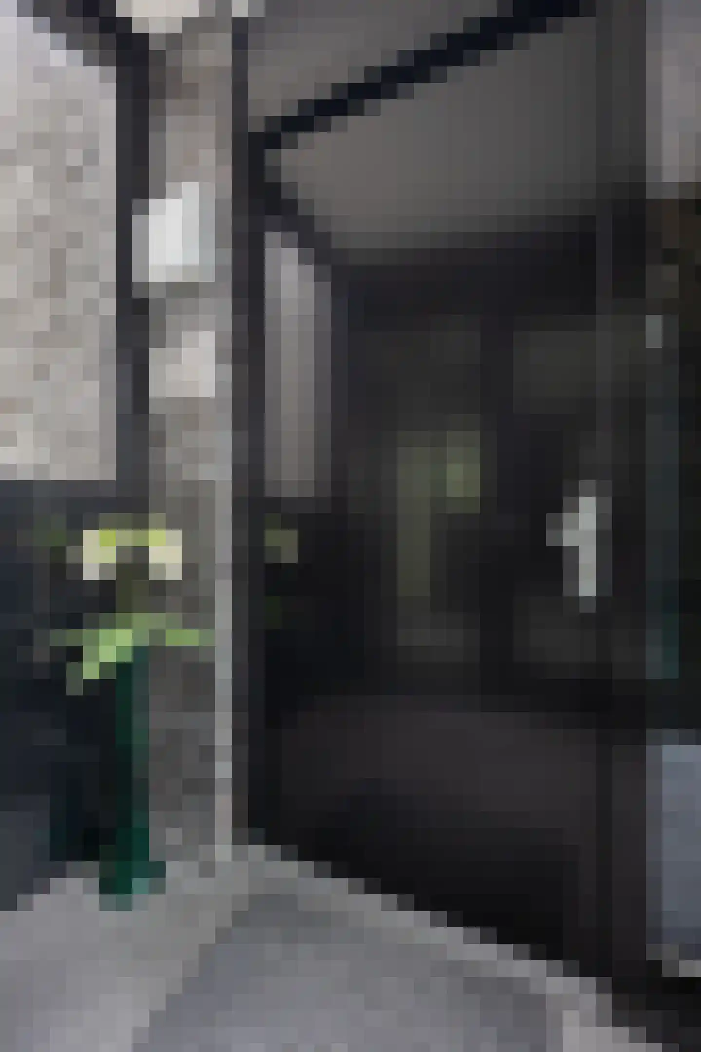 Drierivierenlaan 93 Ridderkerk thumbnail 41