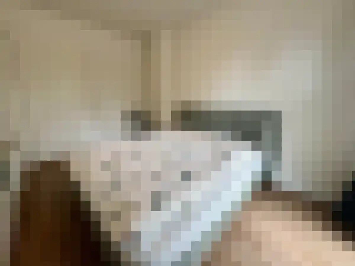 Dries 1 Weert thumbnail 6