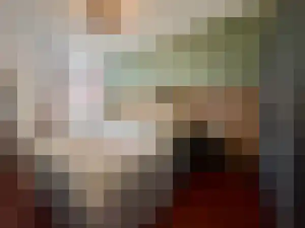 Dries 13 Weert thumbnail 8