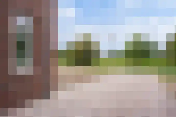 Dries 16 Herpen thumbnail 5