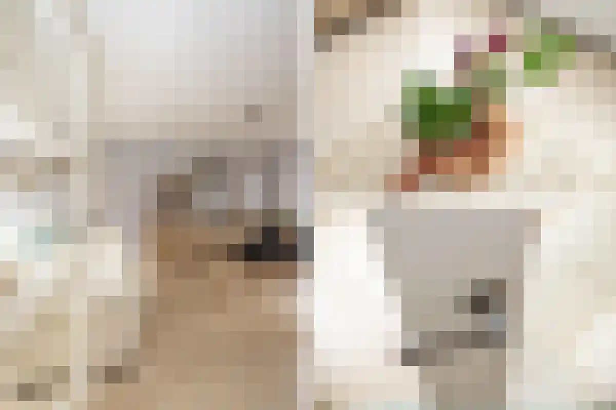 Dries 18 Rijsbergen thumbnail 5