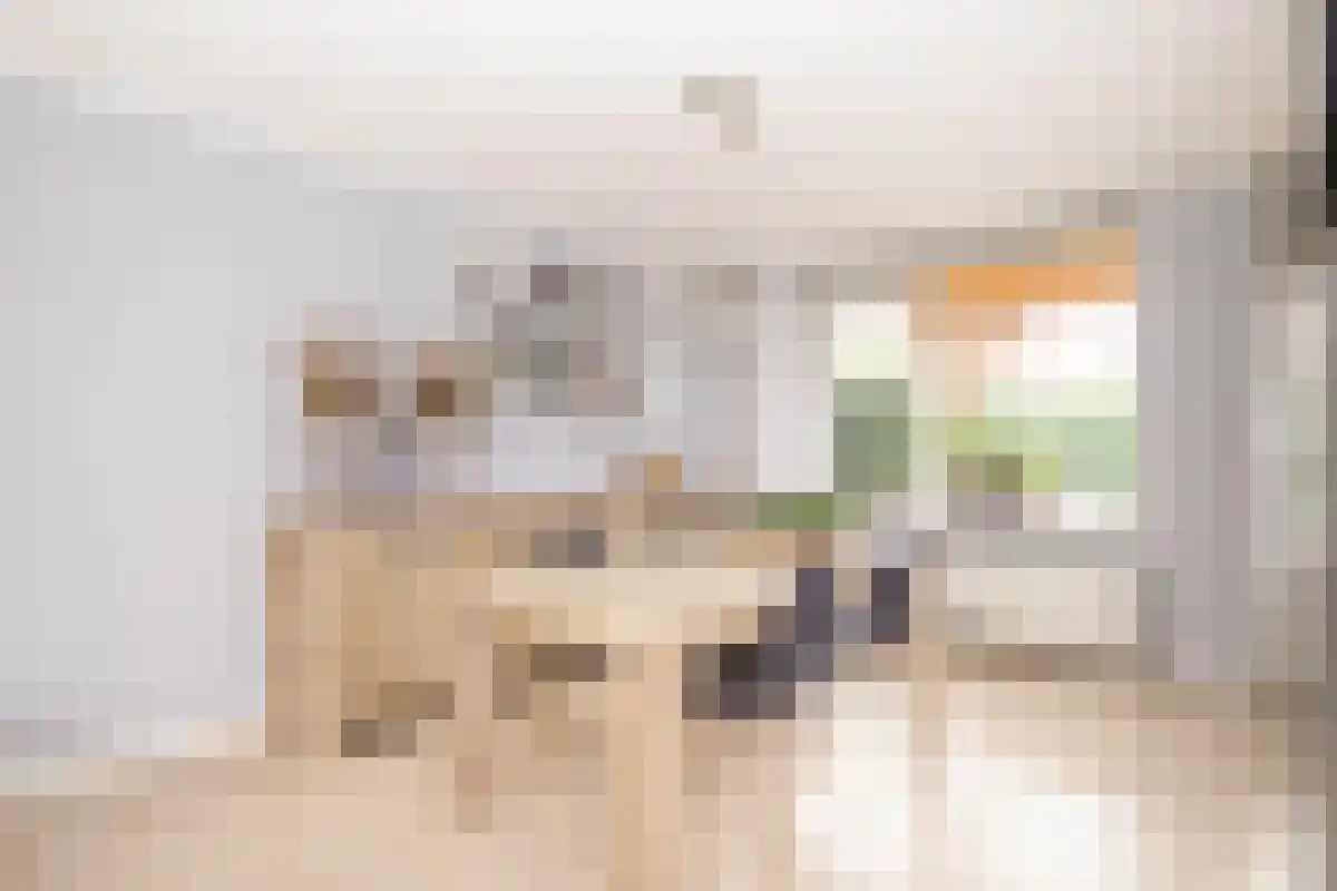 Dries 18 Rijsbergen thumbnail 6