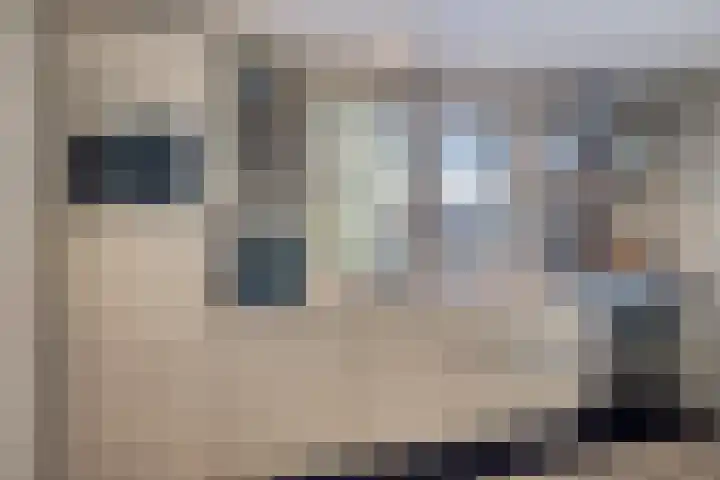 Dries 19 Neer thumbnail 16