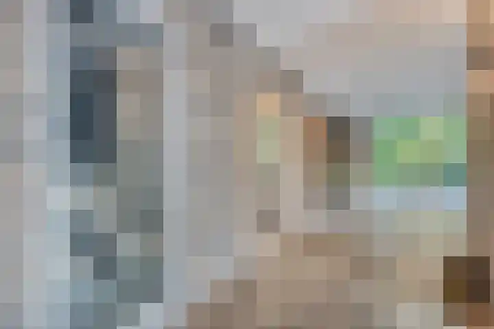 Dries 19 Neer thumbnail 29