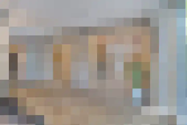 Dries 19 Neer thumbnail 30