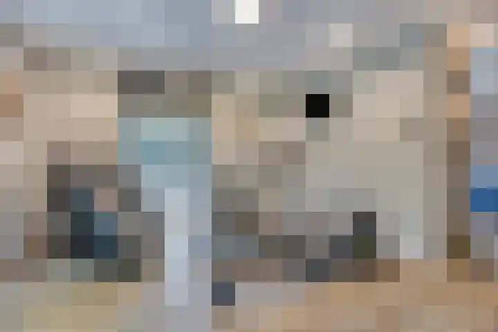 Dries 19 Neer thumbnail 31