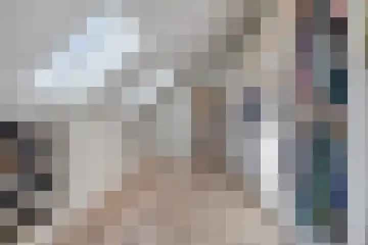 Dries 19 Neer thumbnail 38