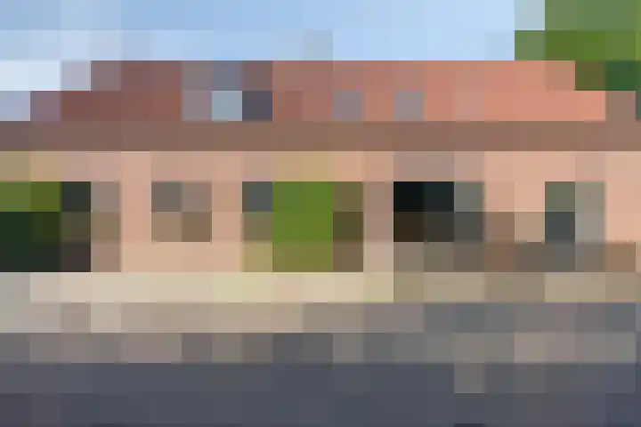 Dries 19 Neer thumbnail 4