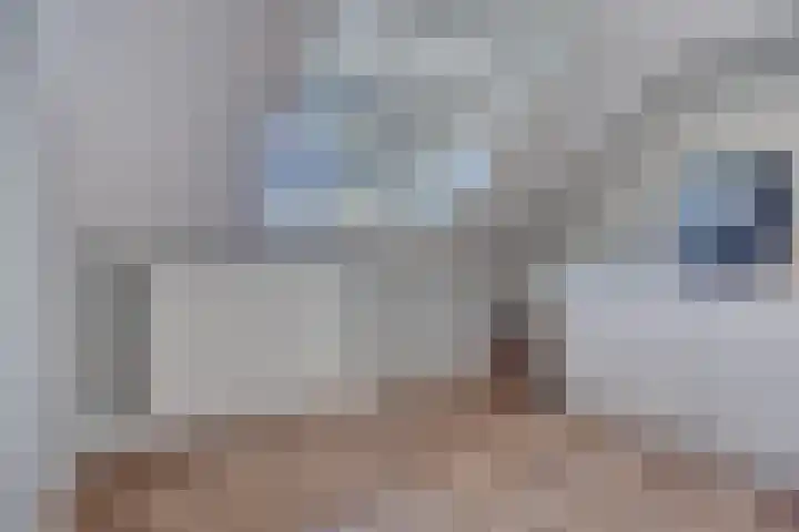 Dries 19 Neer thumbnail 40