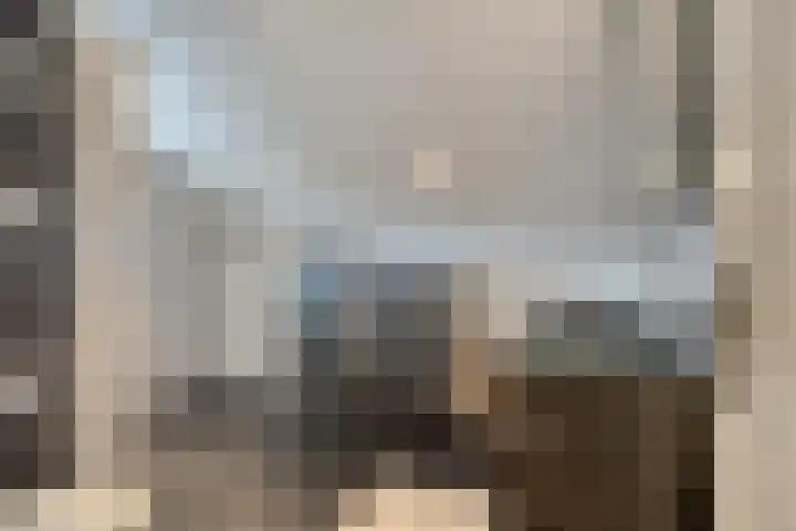Dries 19 Neer thumbnail 41