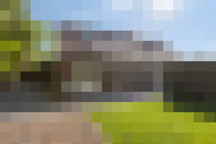 Dries 19 Neer thumbnail 43
