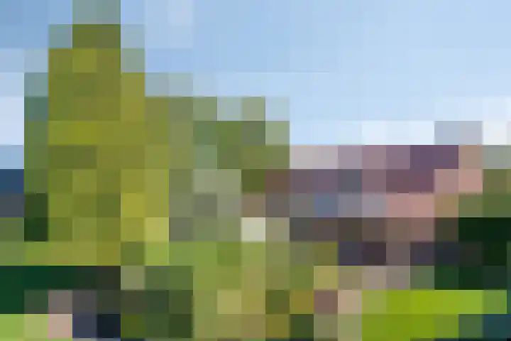 Dries 19 Neer thumbnail 44