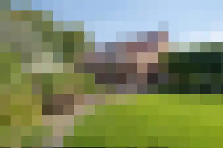 Dries 19 Neer thumbnail 45