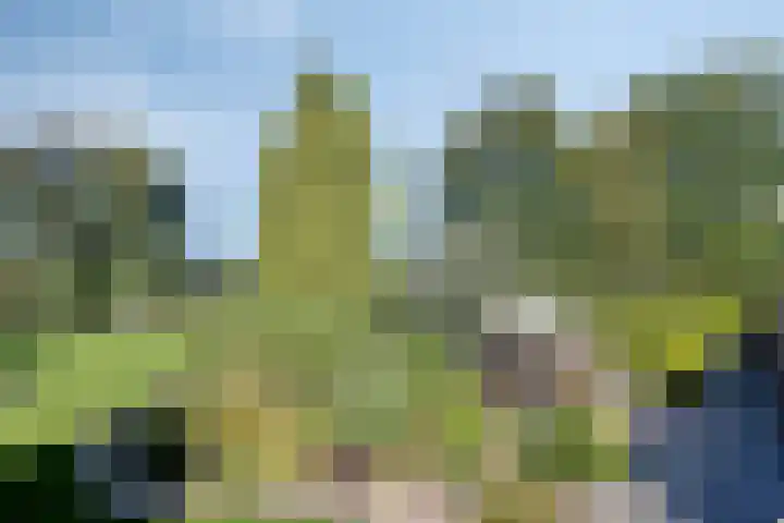 Dries 19 Neer thumbnail 46