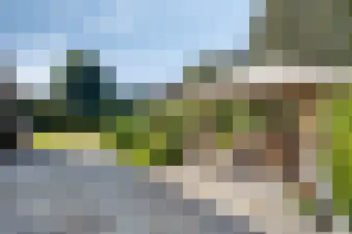 Dries 19 Neer thumbnail 47