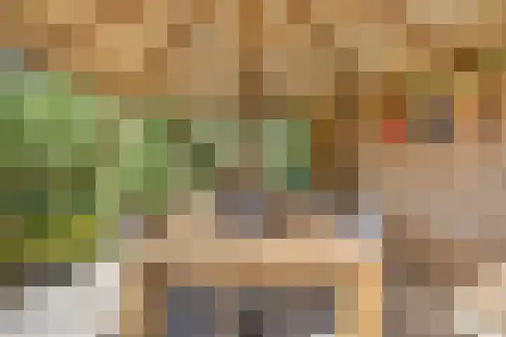 Dries 19 Neer thumbnail 48
