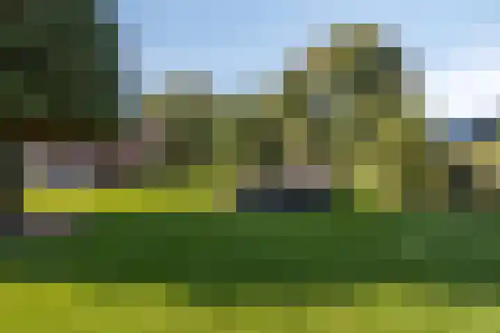 Dries 19 Neer thumbnail 49