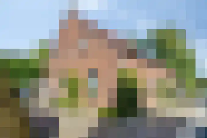 Dries 19 Neer thumbnail 5