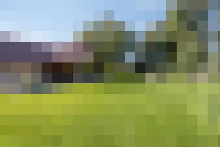 Dries 19 Neer thumbnail 50