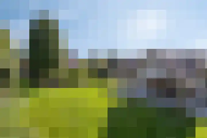 Dries 19 Neer thumbnail 51