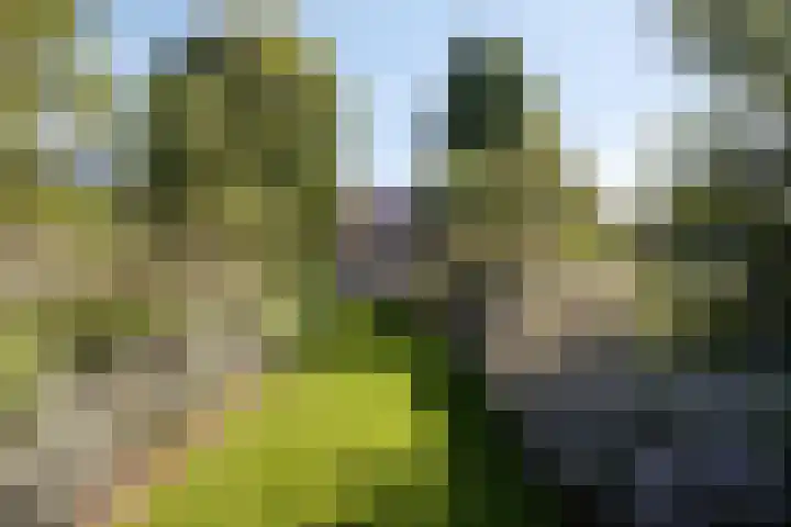 Dries 19 Neer thumbnail 53