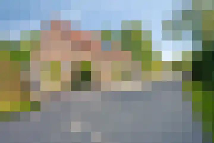 Dries 19 Neer thumbnail 58