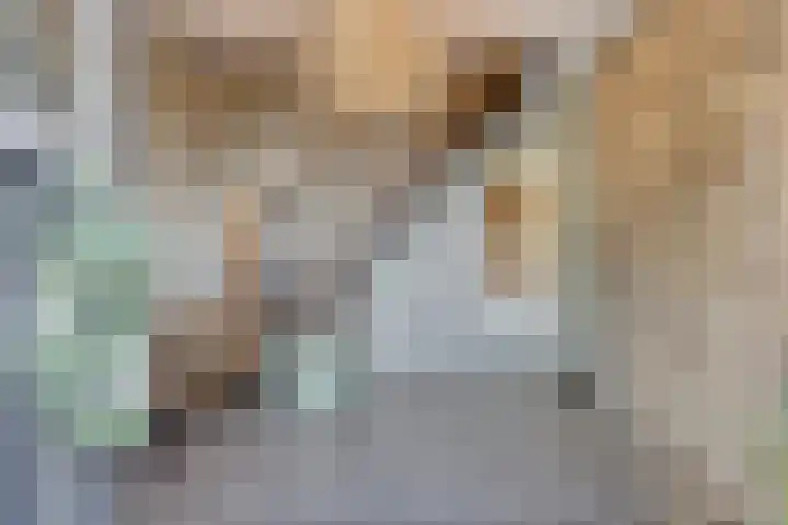 Dries 19 Neer thumbnail 6