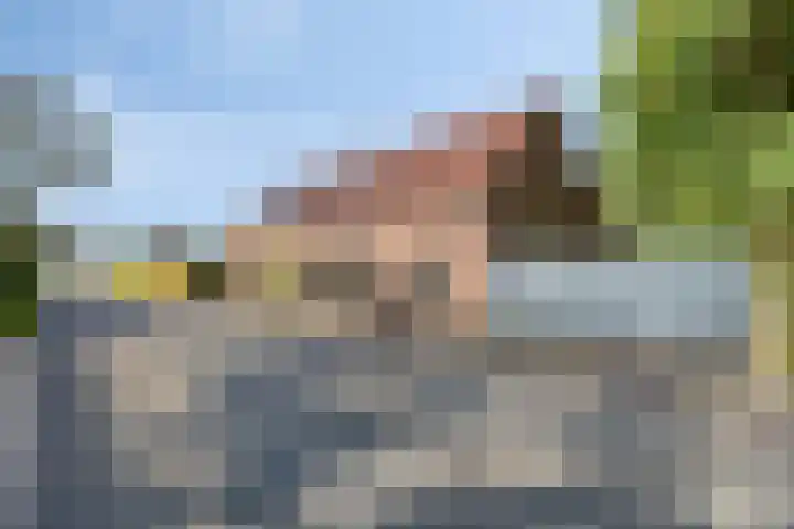 Dries 19 Neer thumbnail 60