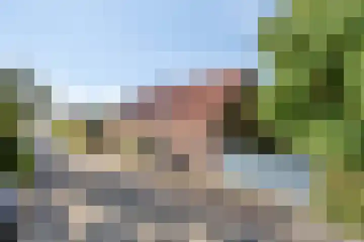Dries 19 Neer thumbnail 61