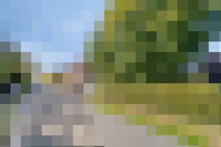 Dries 19 Neer thumbnail 62