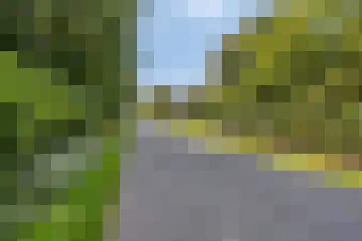 Dries 19 Neer thumbnail 63