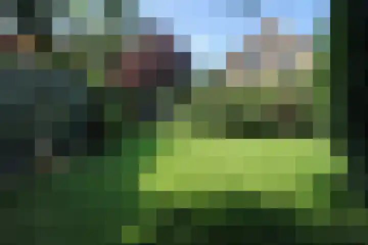 Dries 34 Groesbeek thumbnail 10