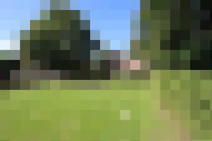 Dries 34 Groesbeek thumbnail 11