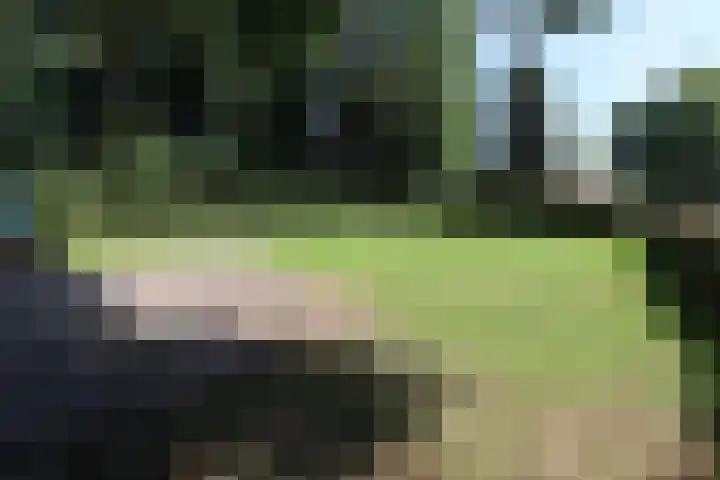 Dries 34 Groesbeek thumbnail 12