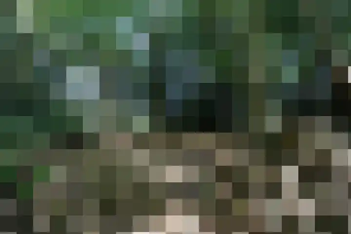 Dries 34 Groesbeek thumbnail 13