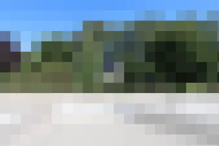 Dries 34 Groesbeek thumbnail 14
