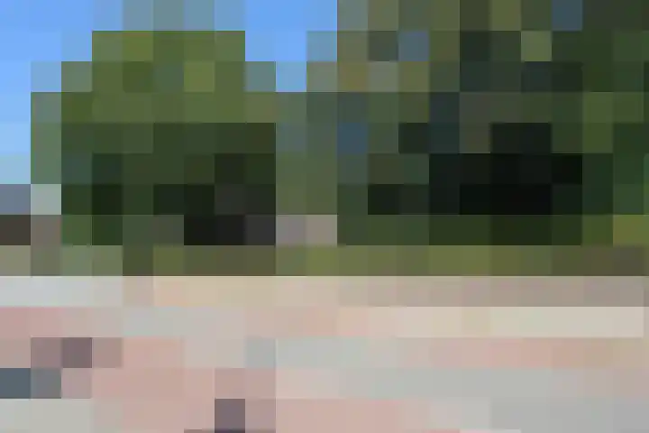 Dries 34 Groesbeek thumbnail 15