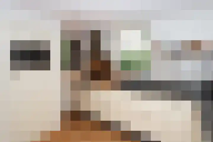 Dries 34 Groesbeek thumbnail 20