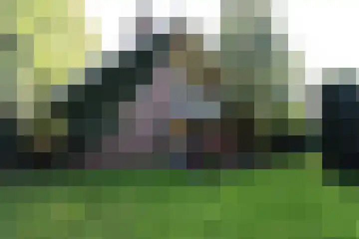 Dries 34 Groesbeek thumbnail 5