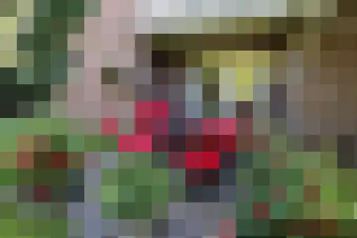 Dries 34 Groesbeek thumbnail 7