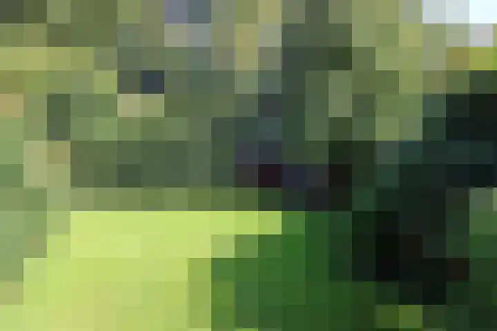 Dries 34 Groesbeek thumbnail 8