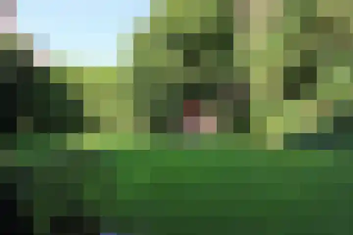 Dries 34 Groesbeek thumbnail 9