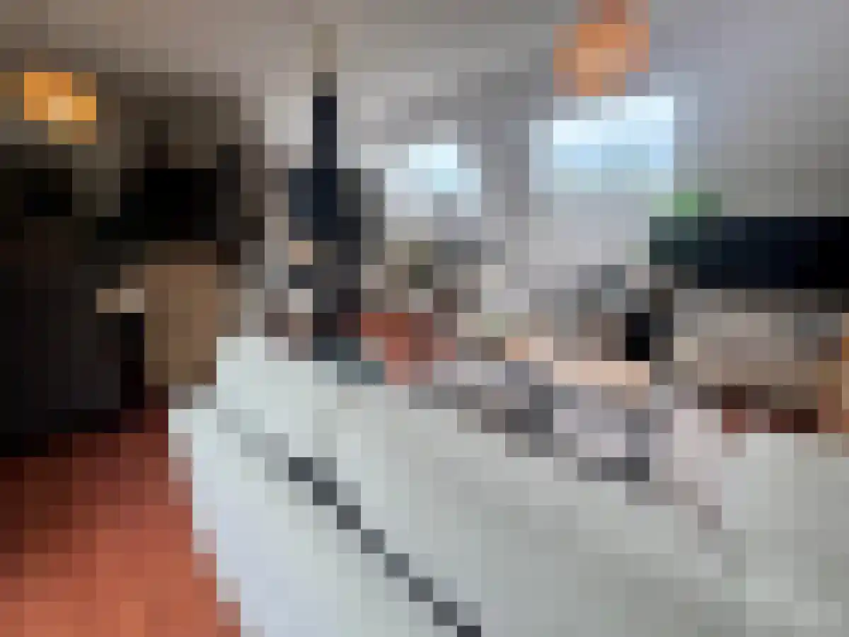 Dries 35 Weert thumbnail 4
