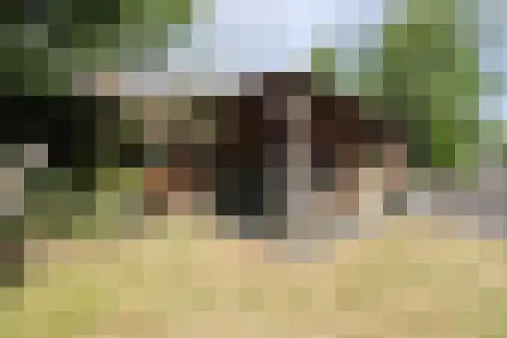 Dries 39 Groesbeek thumbnail 13