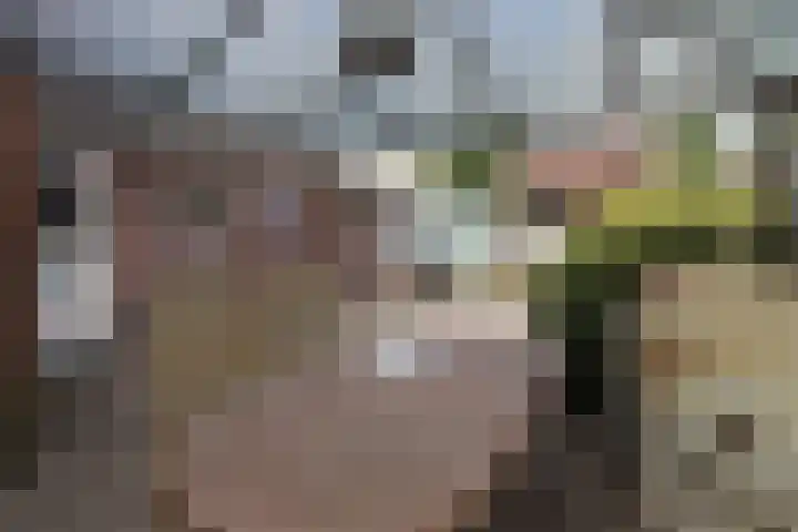 Dries 39 Groesbeek thumbnail 8