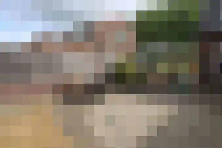 Dries 39 Groesbeek thumbnail 9