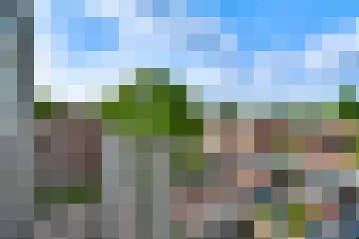 Dries 76 Weert thumbnail 16