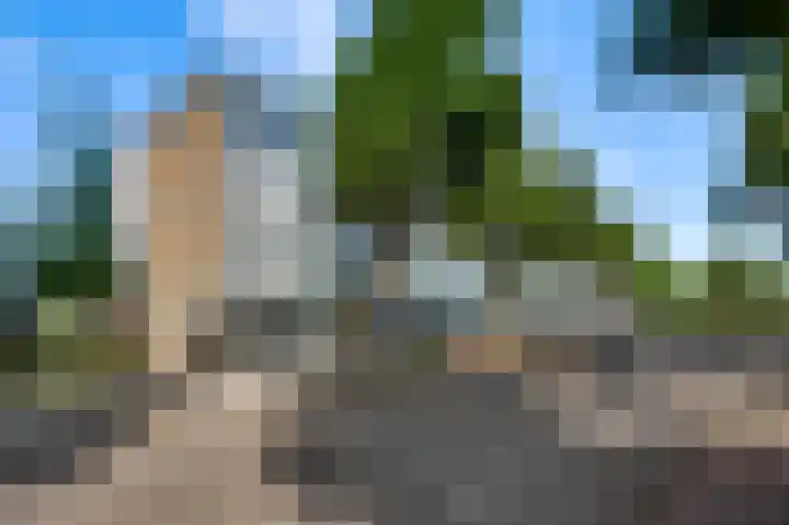 Dries 76 Weert thumbnail 17