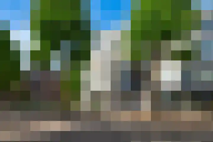 Dries 76 Weert thumbnail 18