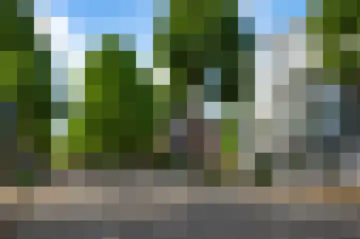 Dries 76 Weert thumbnail 19